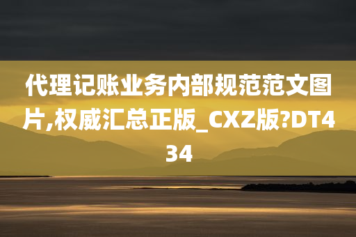 代理记账业务内部规范范文图片,权威汇总正版_CXZ版?DT434