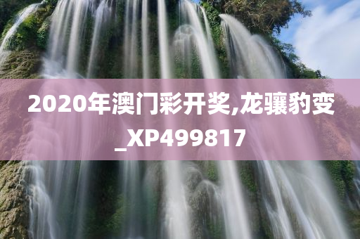 2020年澳门彩开奖,龙骧豹变_XP499817