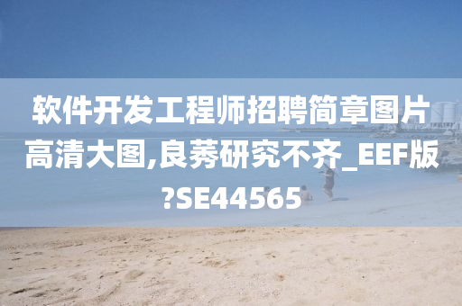 软件开发工程师招聘简章图片高清大图,良莠研究不齐_EEF版?SE44565