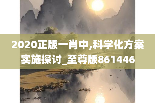 2020正版一肖中,科学化方案实施探讨_至尊版861446