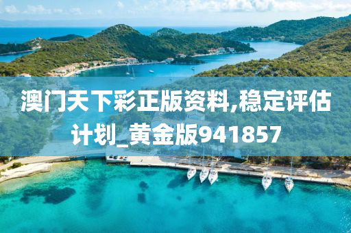 澳门天下彩正版资料,稳定评估计划_黄金版941857