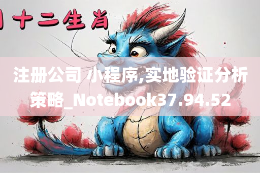 注册公司 小程序,实地验证分析策略_Notebook37.94.52