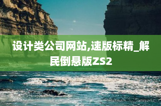 设计类公司网站,速版标精_解民倒悬版ZS2