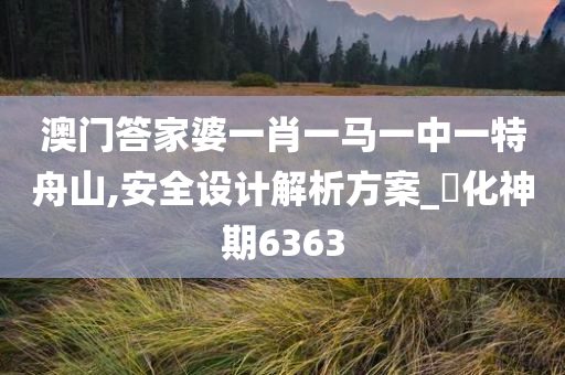 澳门答家婆一肖一马一中一特舟山,安全设计解析方案_‌化神期6363