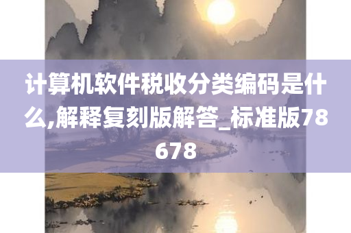 计算机软件税收分类编码是什么,解释复刻版解答_标准版78678