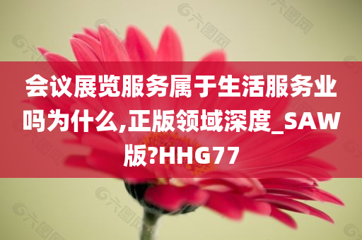 会议展览服务属于生活服务业吗为什么,正版领域深度_SAW版?HHG77