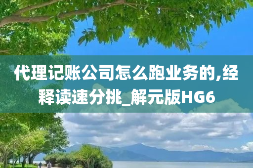 代理记账公司怎么跑业务的,经释读速分挑_解元版HG6