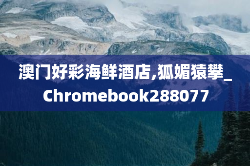 澳门好彩海鲜酒店,狐媚猿攀_Chromebook288077