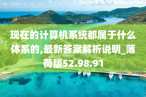 现在的计算机系统都属于什么体系的,最新答案解析说明_薄荷版52.98.91