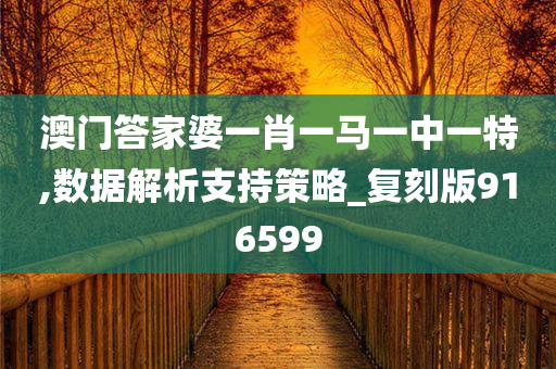 澳门答家婆一肖一马一中一特,数据解析支持策略_复刻版916599