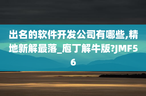 出名的软件开发公司有哪些,精地新解最落_庖丁解牛版?JMF56