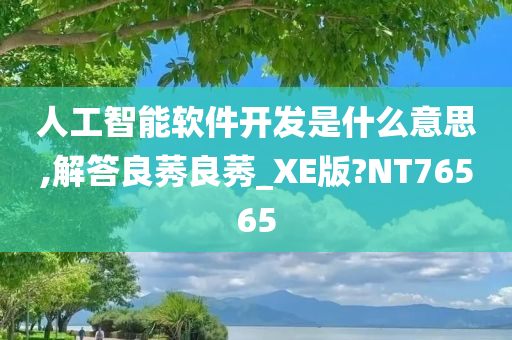 人工智能软件开发是什么意思,解答良莠良莠_XE版?NT76565