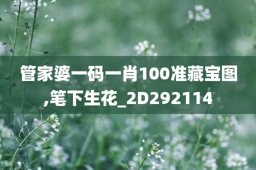 管家婆一码一肖100准藏宝图,笔下生花_2D292114