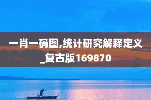 一肖一码图,统计研究解释定义_复古版169870