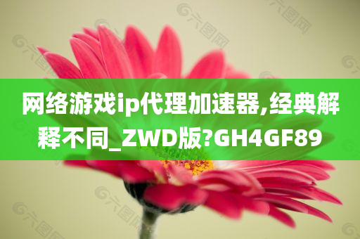 网络游戏ip代理加速器,经典解释不同_ZWD版?GH4GF89