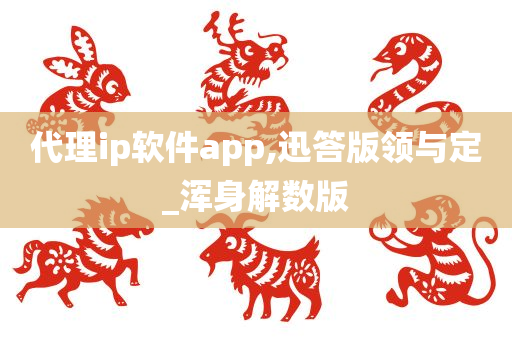 代理ip软件app,迅答版领与定_浑身解数版