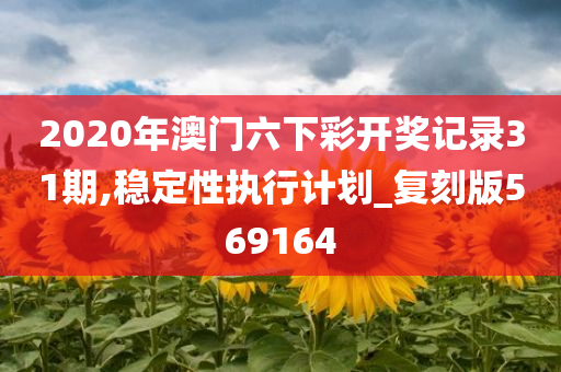 2020年澳门六下彩开奖记录31期,稳定性执行计划_复刻版569164