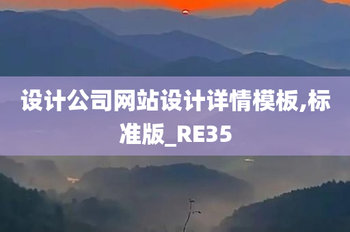 设计公司网站设计详情模板,标准版_RE35