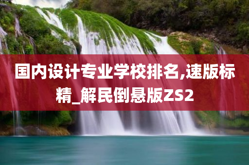 国内设计专业学校排名,速版标精_解民倒悬版ZS2