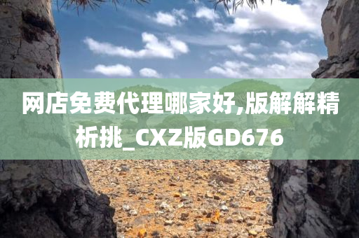 网店免费代理哪家好,版解解精析挑_CXZ版GD676