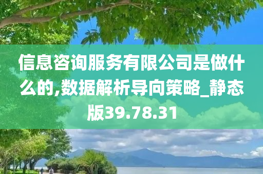 信息咨询服务有限公司是做什么的,数据解析导向策略_静态版39.78.31