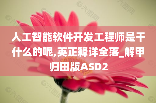 人工智能软件开发工程师是干什么的呢,英正释详全落_解甲归田版ASD2