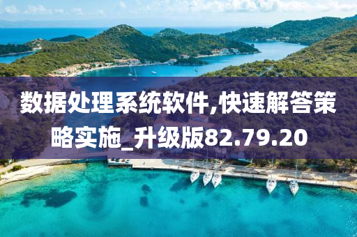 数据处理系统软件,快速解答策略实施_升级版82.79.20