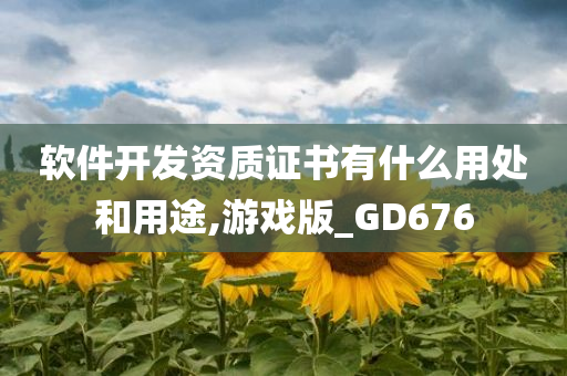 软件开发资质证书有什么用处和用途,游戏版_GD676