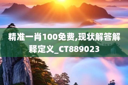 精准一肖100免费,现状解答解释定义_CT889023