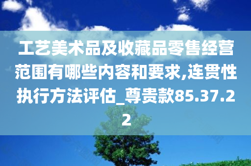 工艺美术品及收藏品零售经营范围有哪些内容和要求,连贯性执行方法评估_尊贵款85.37.22