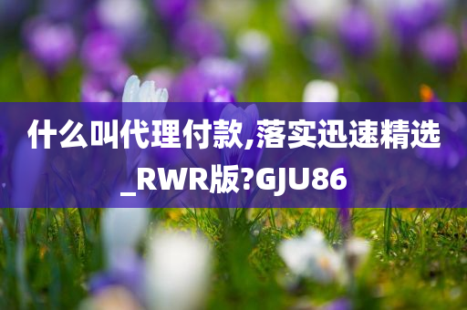 什么叫代理付款,落实迅速精选_RWR版?GJU86