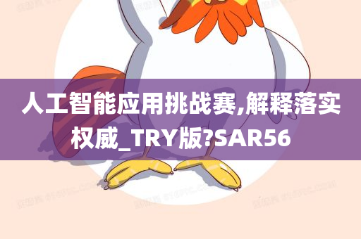 人工智能应用挑战赛,解释落实权威_TRY版?SAR56