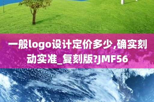 一般logo设计定价多少,确实刻动实准_复刻版?JMF56