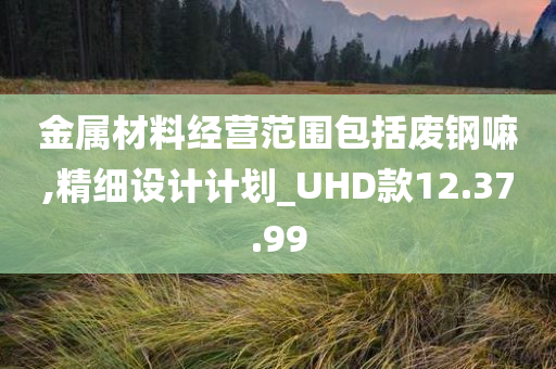 金属材料经营范围包括废钢嘛,精细设计计划_UHD款12.37.99