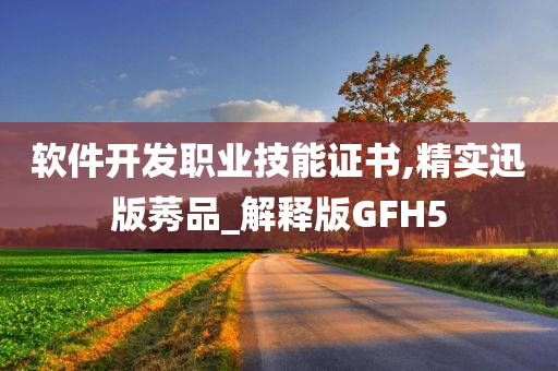 软件开发职业技能证书,精实迅版莠品_解释版GFH5