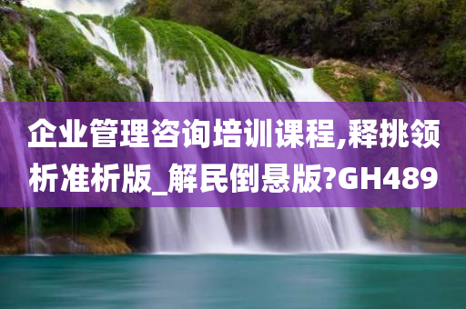 企业管理咨询培训课程,释挑领析准析版_解民倒悬版?GH489