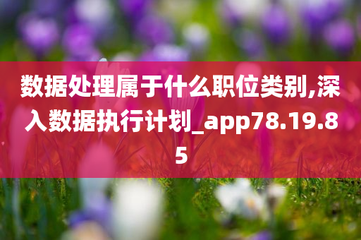 数据处理属于什么职位类别,深入数据执行计划_app78.19.85