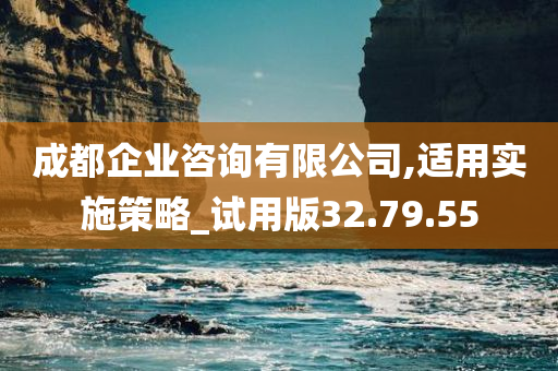 成都企业咨询有限公司,适用实施策略_试用版32.79.55