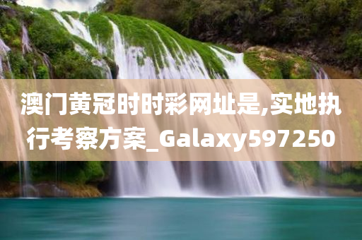 澳门黄冠时时彩网址是,实地执行考察方案_Galaxy597250