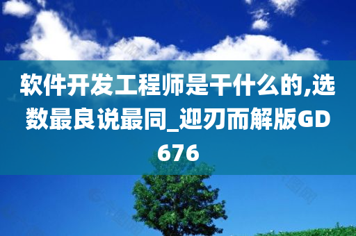 软件开发工程师是干什么的,选数最良说最同_迎刃而解版GD676