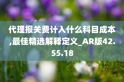 代理报关费计入什么科目成本,最佳精选解释定义_AR版42.55.18