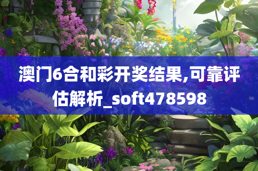 澳门6合和彩开奖结果,可靠评估解析_soft478598