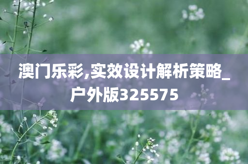 澳门乐彩,实效设计解析策略_户外版325575