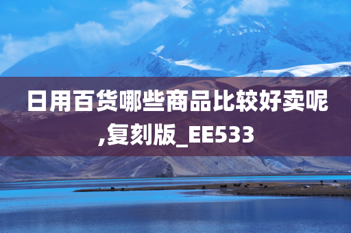 日用百货哪些商品比较好卖呢,复刻版_EE533