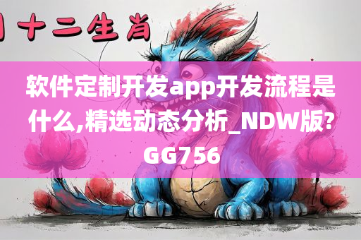 软件定制开发app开发流程是什么,精选动态分析_NDW版?GG756