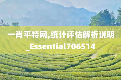 一肖平特网,统计评估解析说明_Essential706514