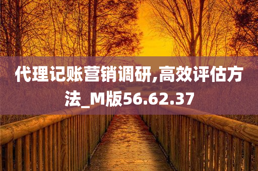 代理记账营销调研,高效评估方法_M版56.62.37