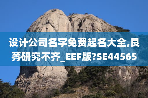 设计公司名字免费起名大全,良莠研究不齐_EEF版?SE44565