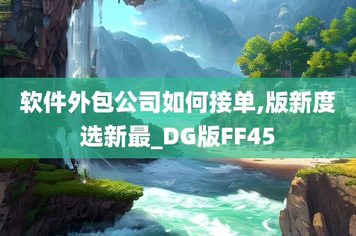 软件外包公司如何接单,版新度选新最_DG版FF45