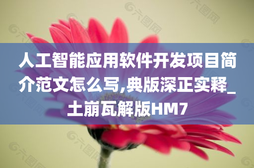 人工智能应用软件开发项目简介范文怎么写,典版深正实释_土崩瓦解版HM7